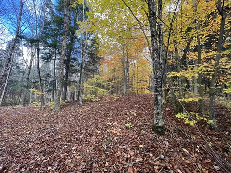 430 Black River Road Craftsbury VT 05826