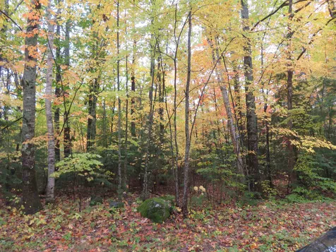 00 Savoy Street Moultonborough NH 03254