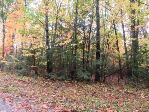 00 Savoy Street Moultonborough NH 03254