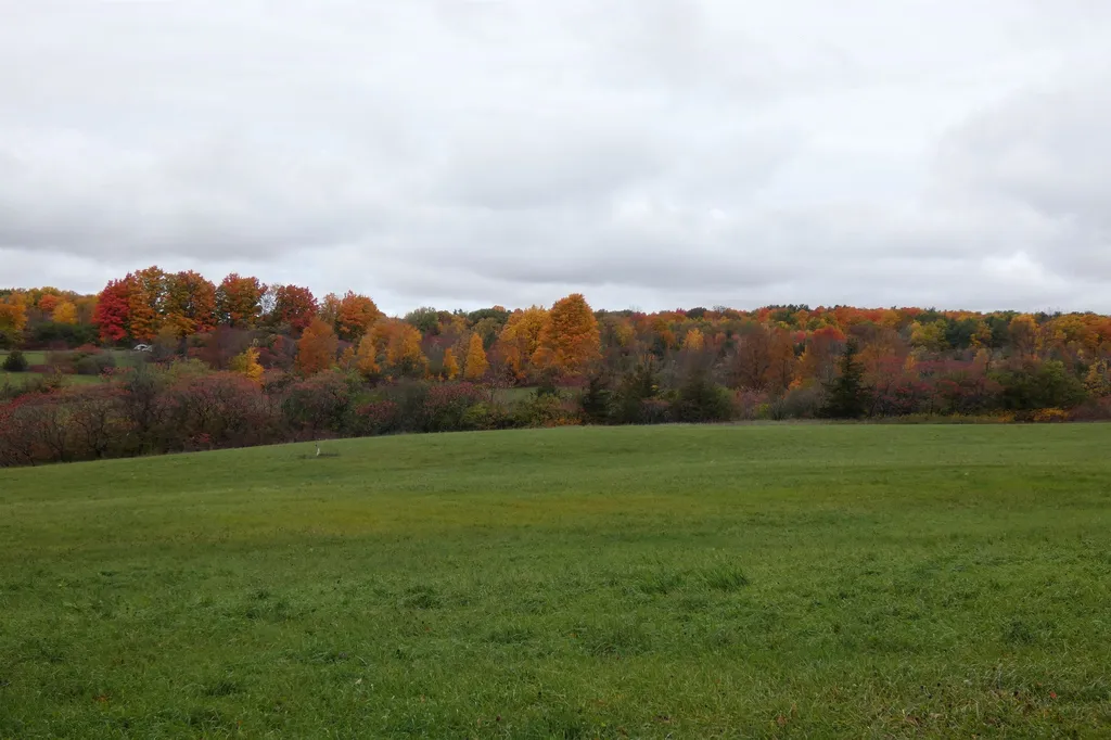 Tbd Perkins Road Weybridge VT 05753