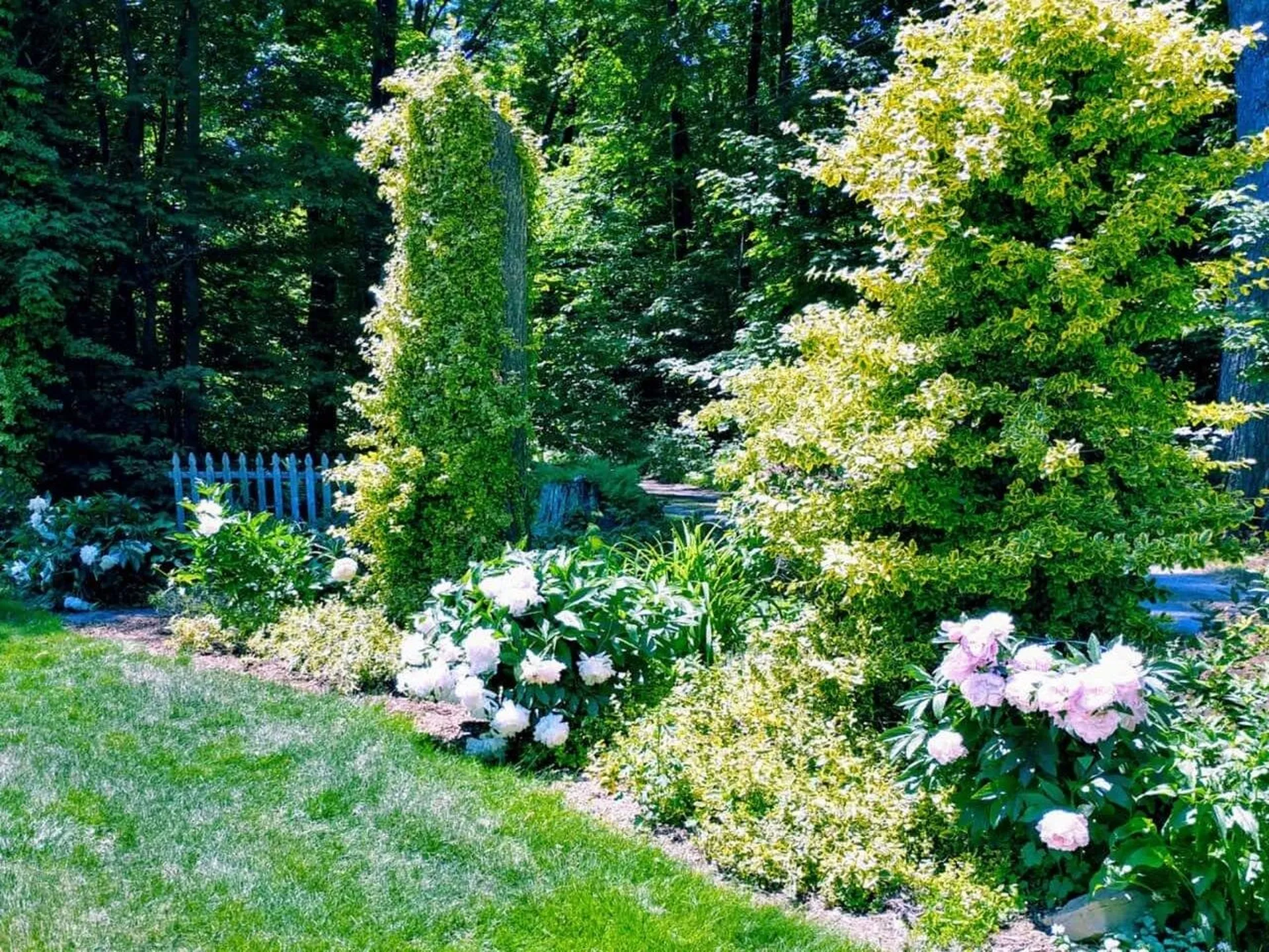 75 Hemlock Drive Bristol VT 05443
