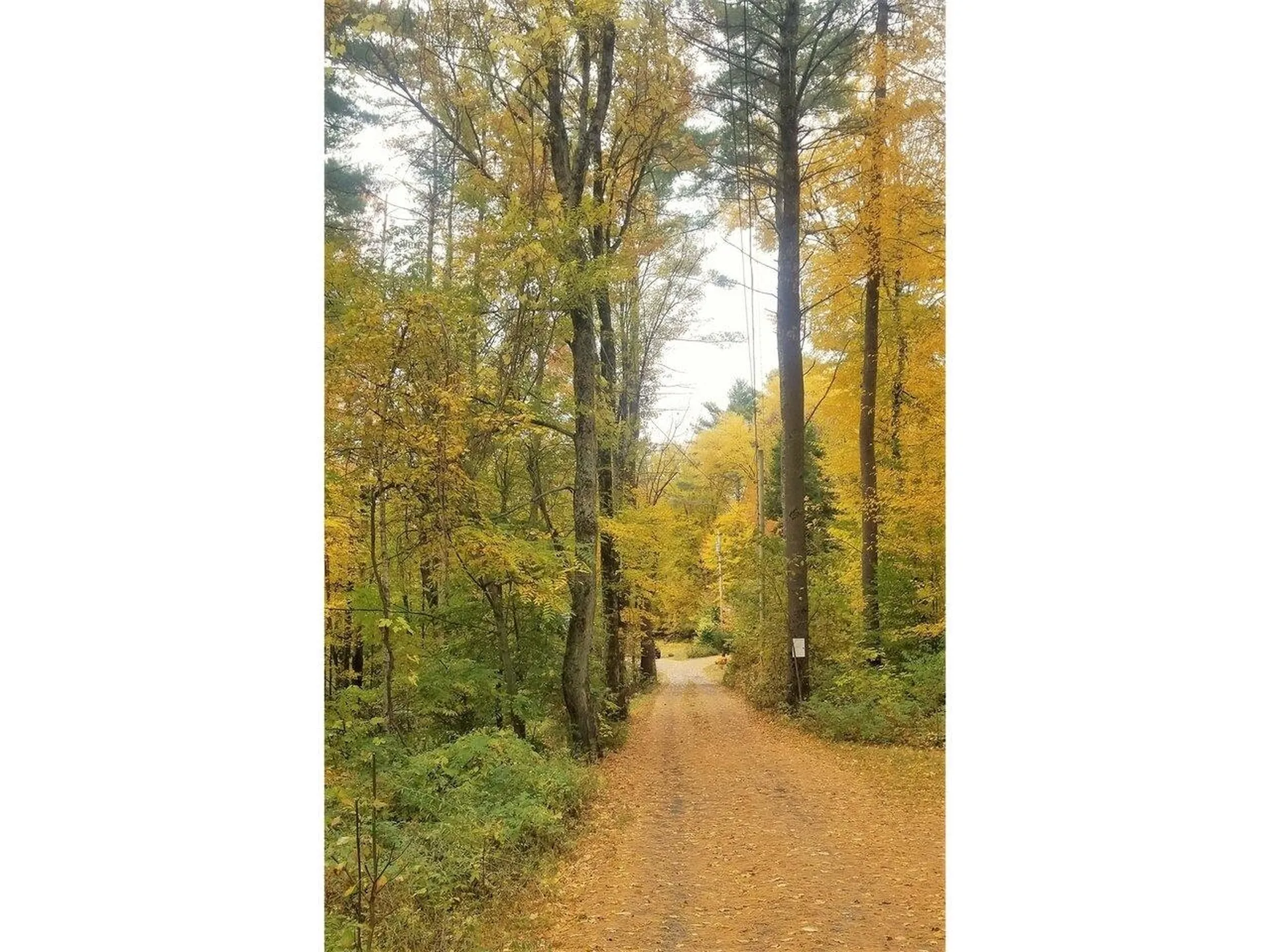 75 Hemlock Drive Bristol VT 05443