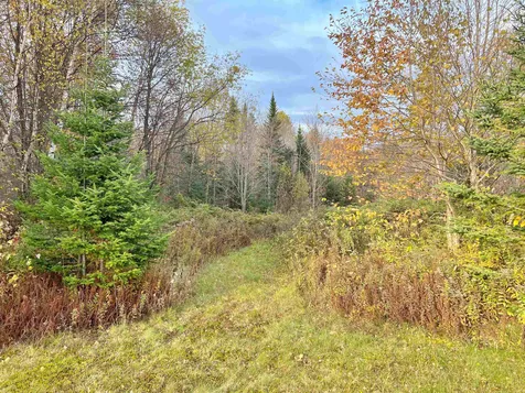 1210 Toad Pond Road Morgan VT 05853