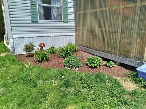 1210 Toad Pond Road Morgan VT 05853