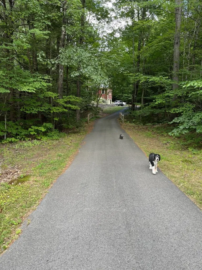 17 Wheeler Road Bow NH 03304
