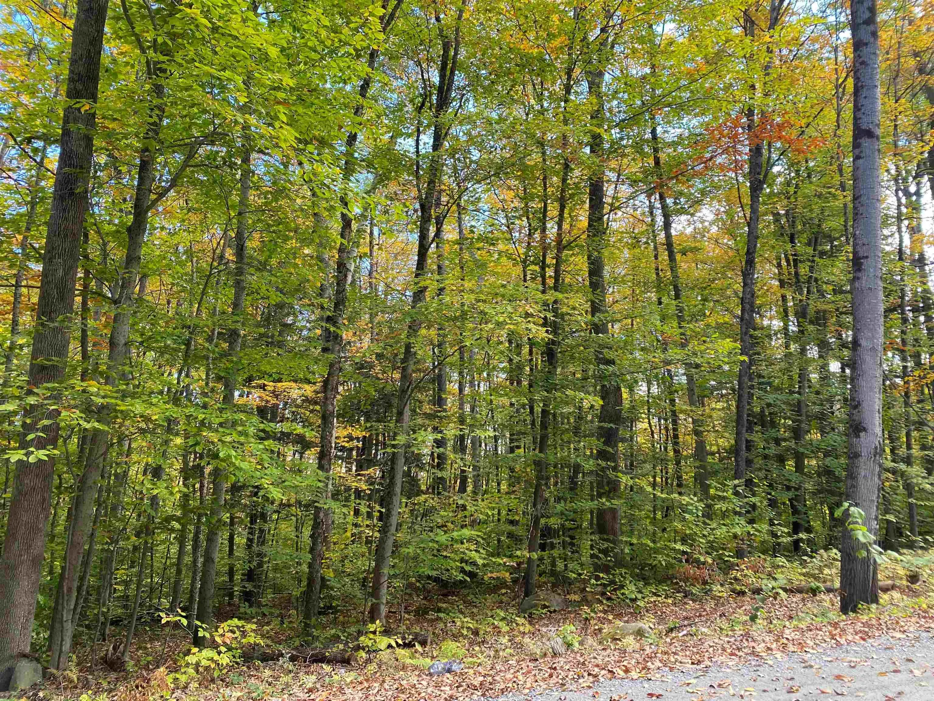 Melody Lane Weathersfield VT 05030
