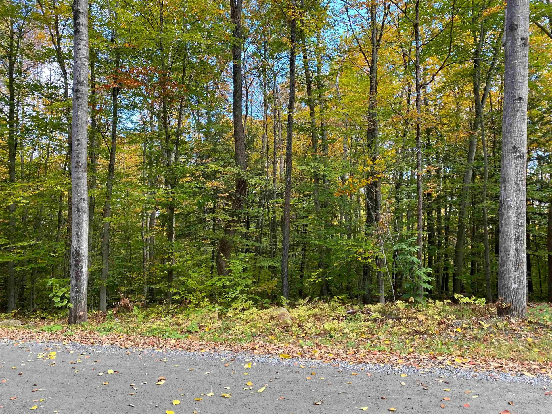 Melody Lane Weathersfield VT 05030