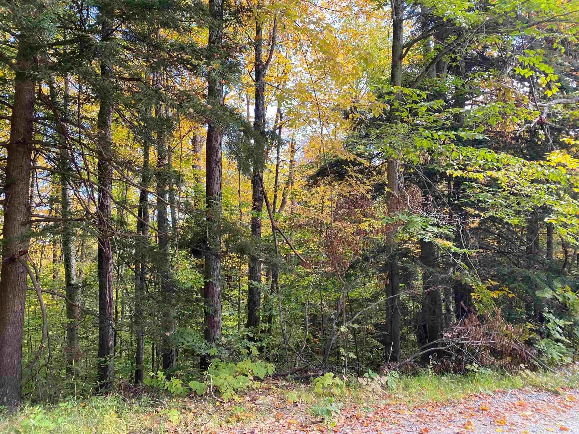 Melody Lane Weathersfield VT 05030