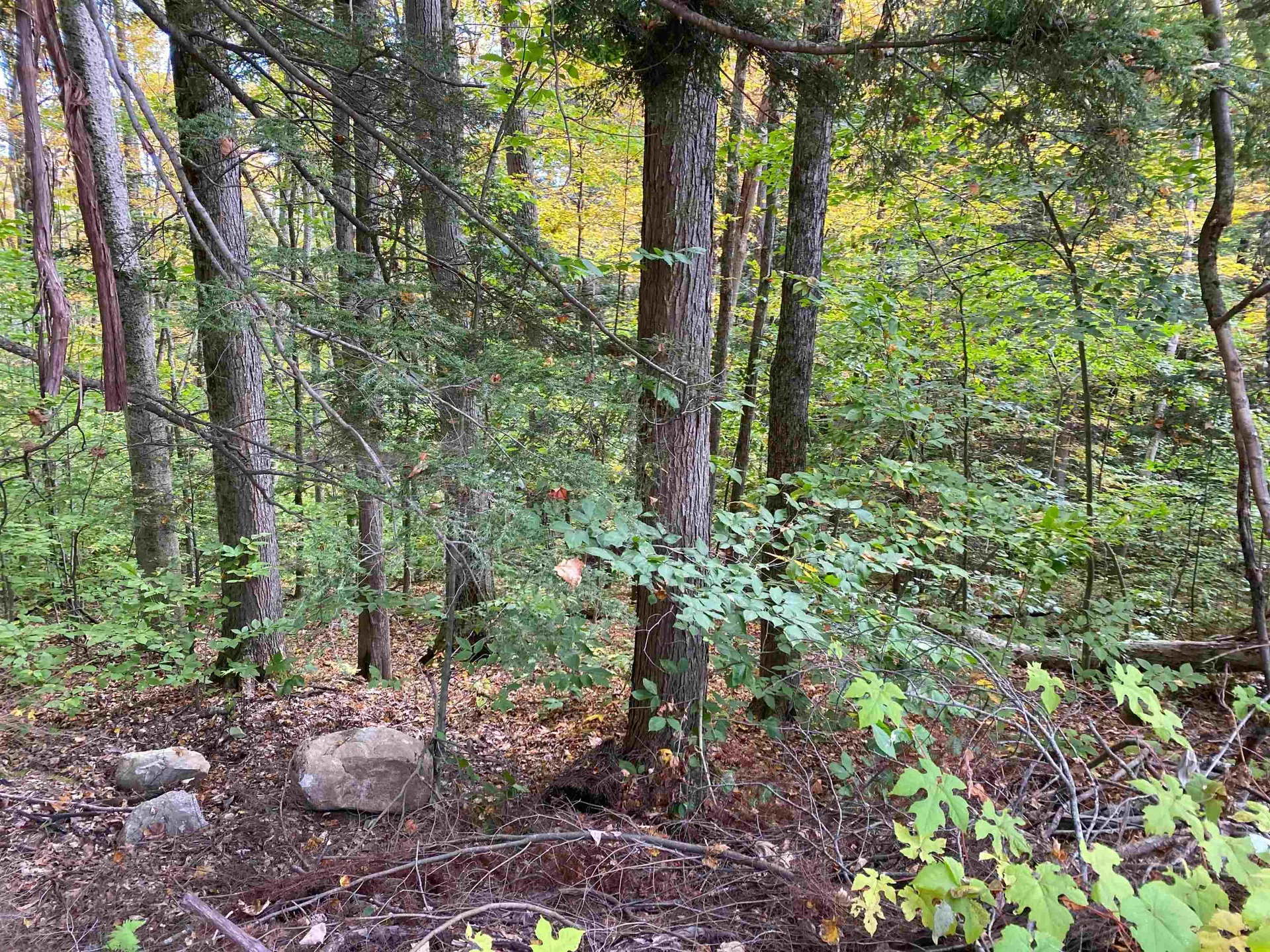 Melody Lane Weathersfield VT 05030