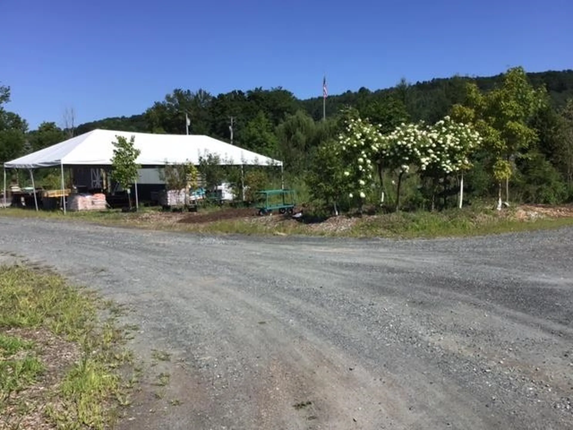 1542 Vt. Route 14 Hartford VT 05001