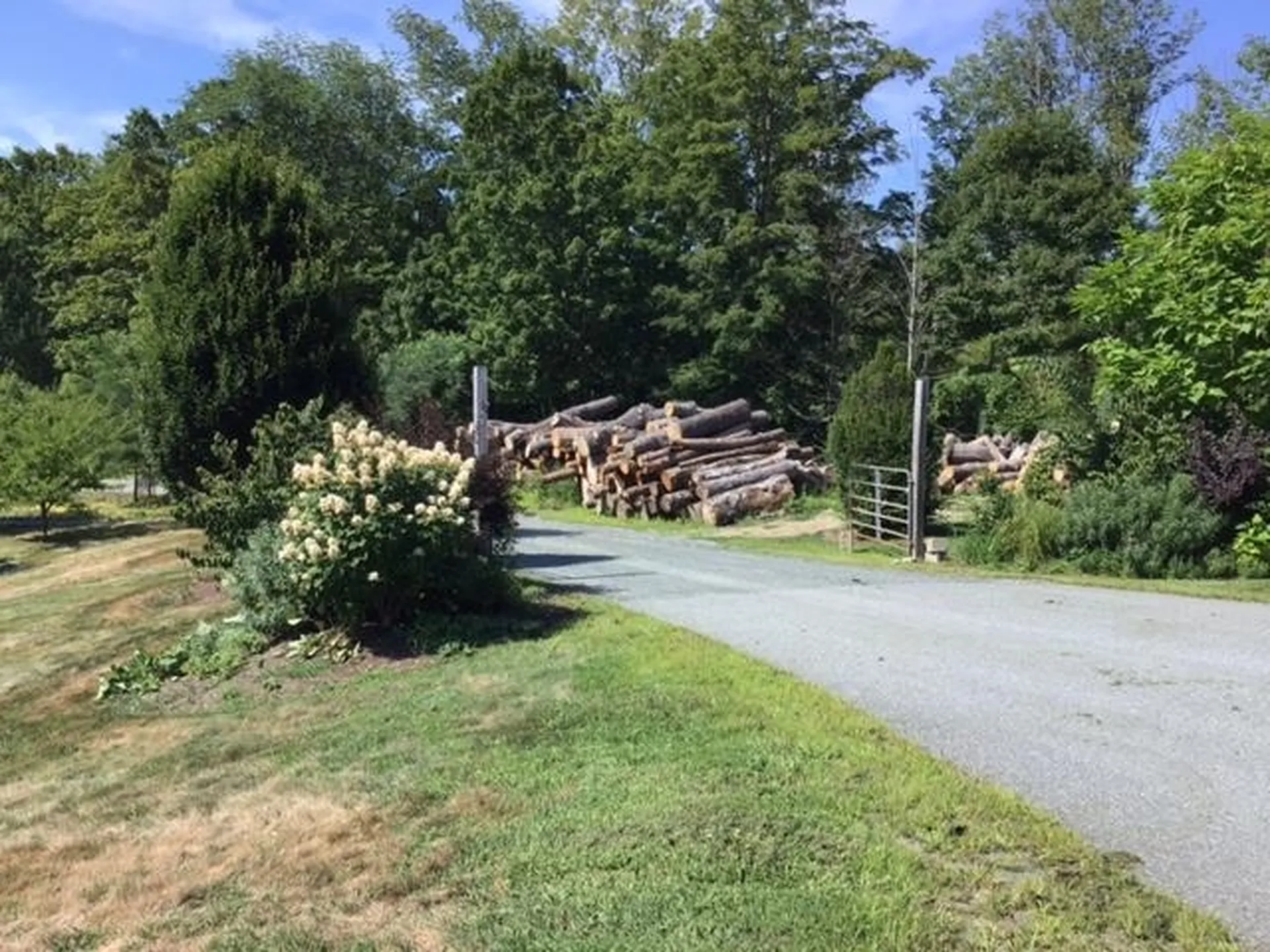 1542 Vt. Route 14 Hartford VT 05001