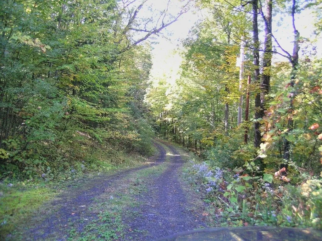 386 Singing Cedars Road Orwell VT 05760-9612