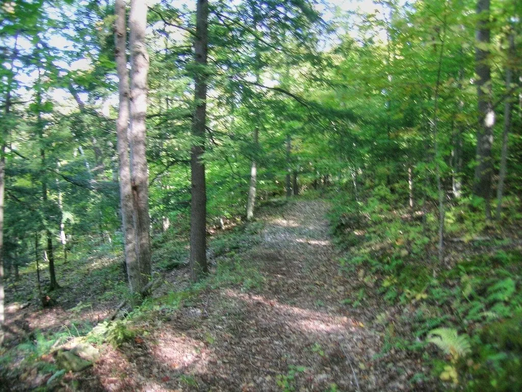 386 Singing Cedars Road Orwell VT 05760-9612