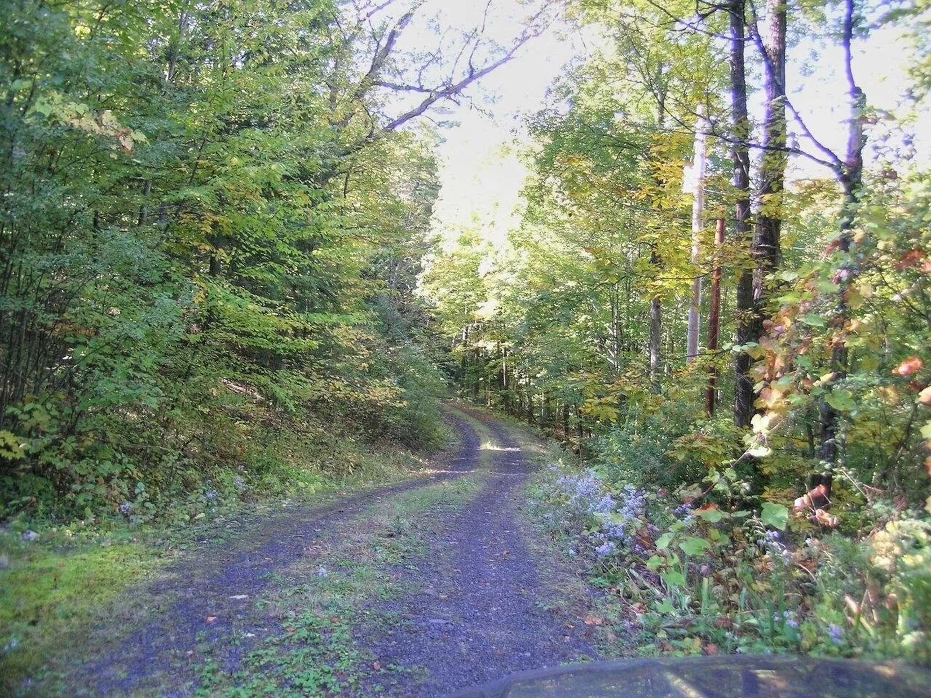 386 Singing Cedars Road Orwell VT 05760-9612
