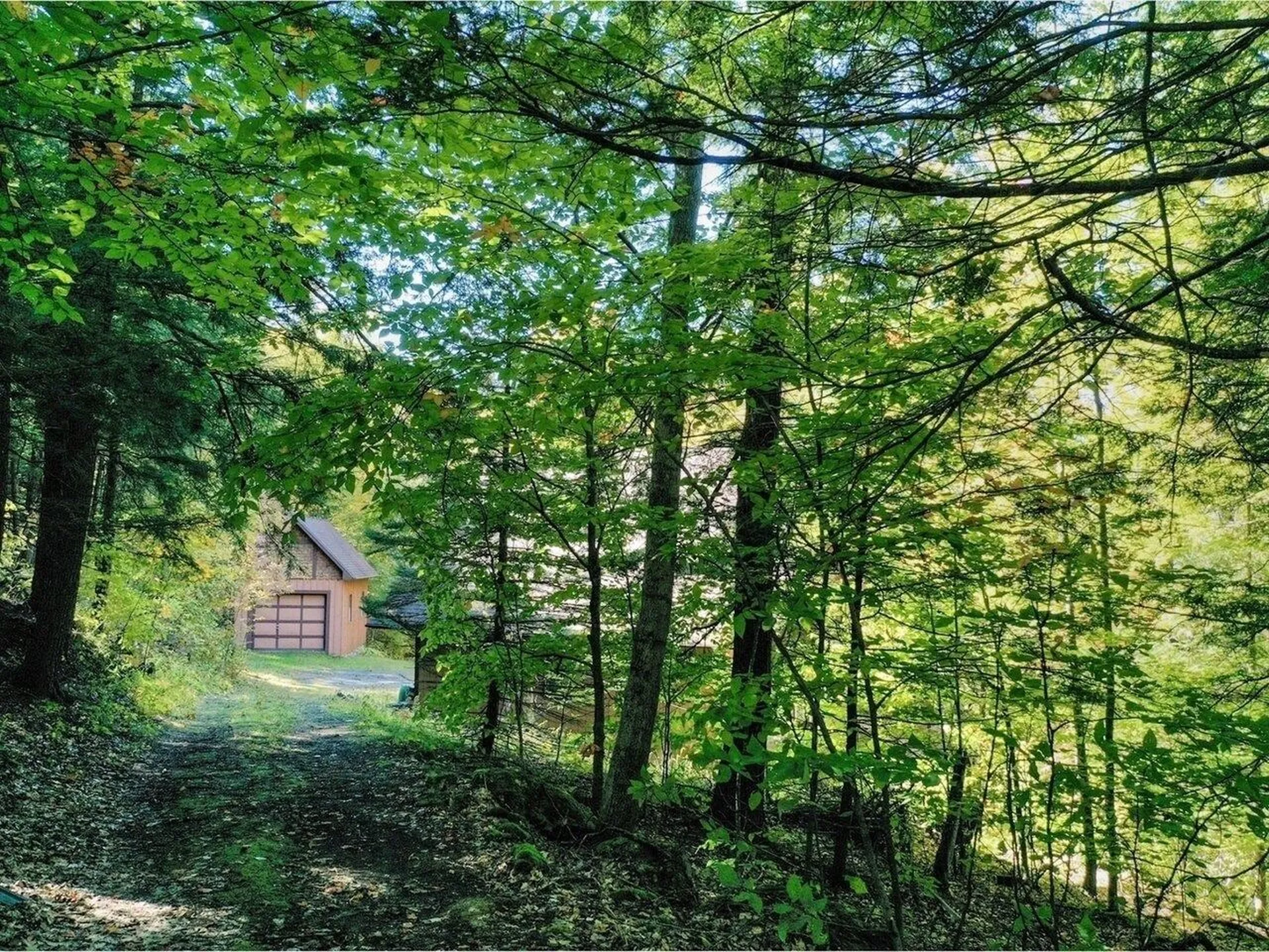 386 Singing Cedars Road Orwell VT 05760-9612