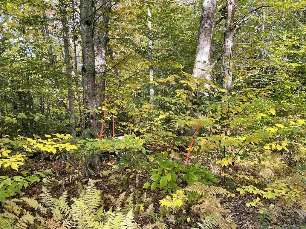 00 Litchfield Lane Royalton VT 05068