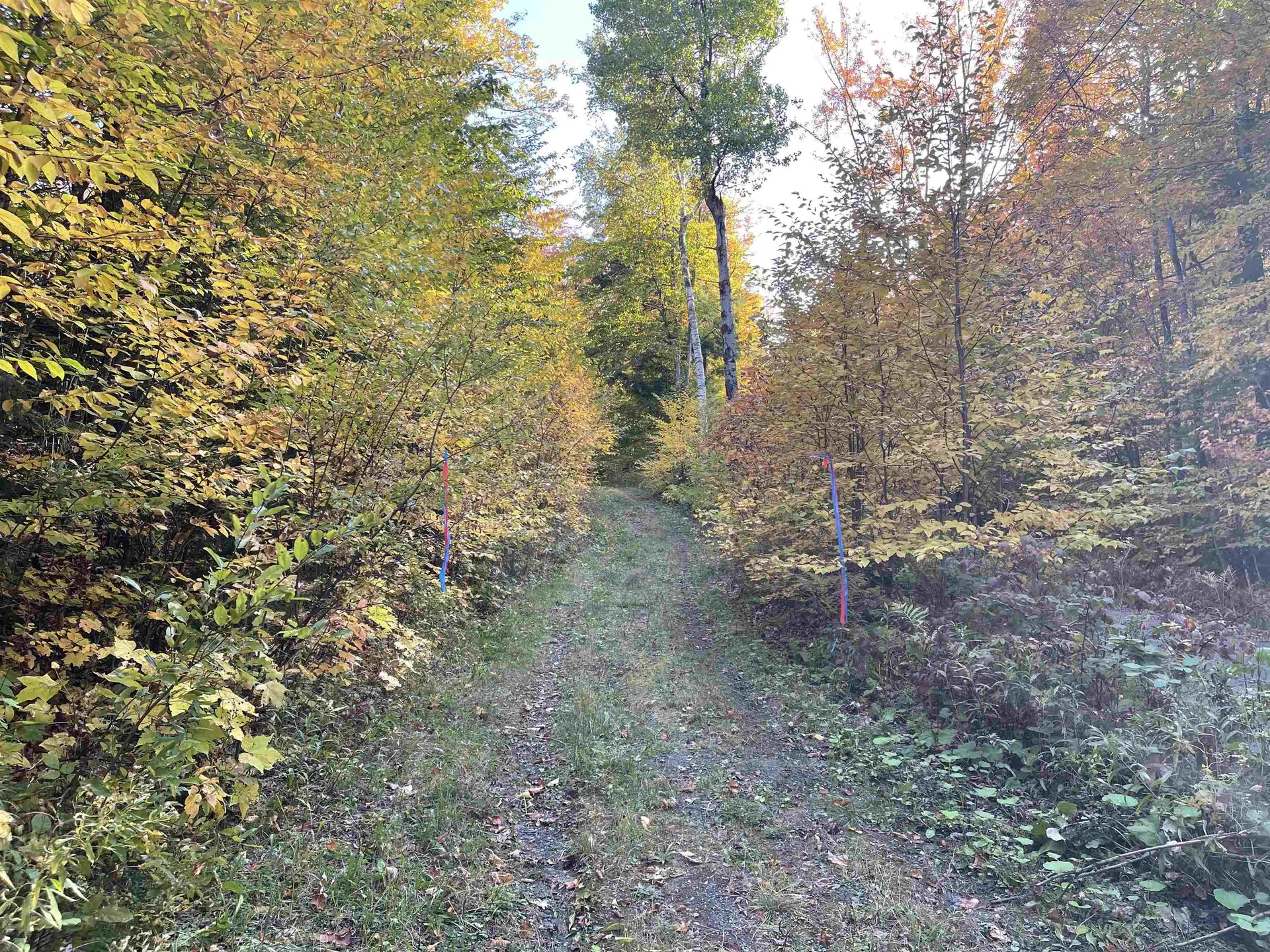 00 Litchfield Lane Royalton VT 05068