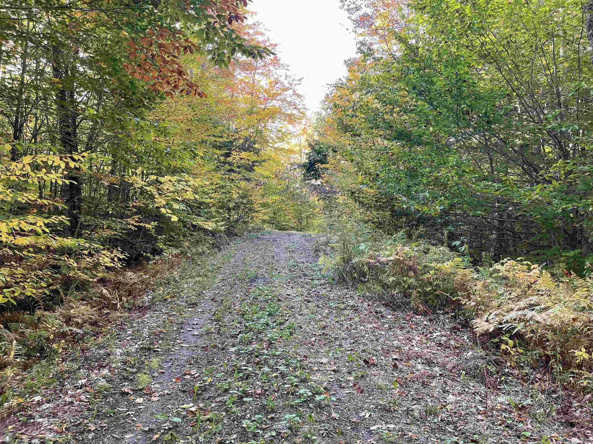 00 Litchfield Lane Royalton VT 05068