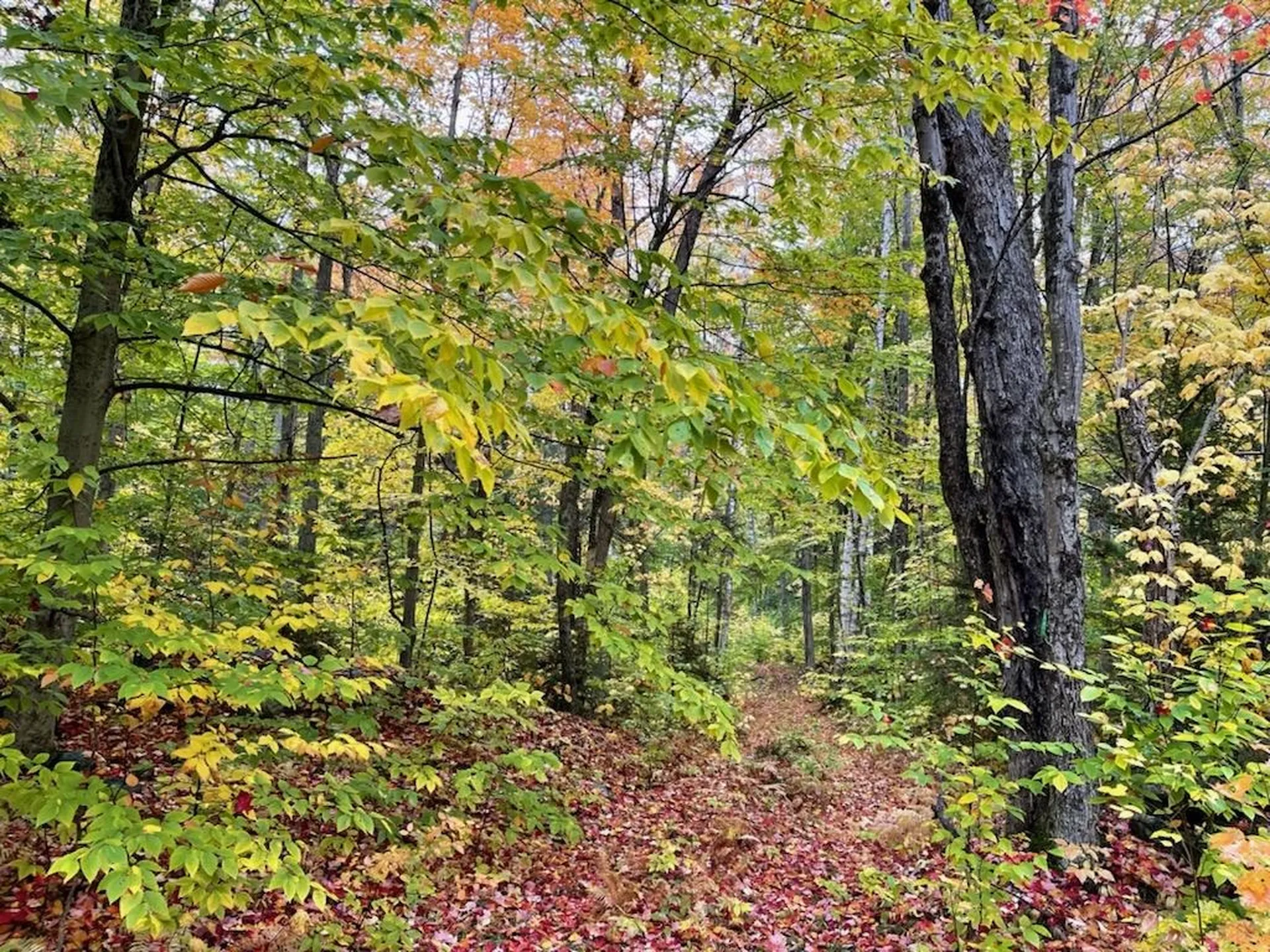00 Litchfield Lane Royalton VT 05068