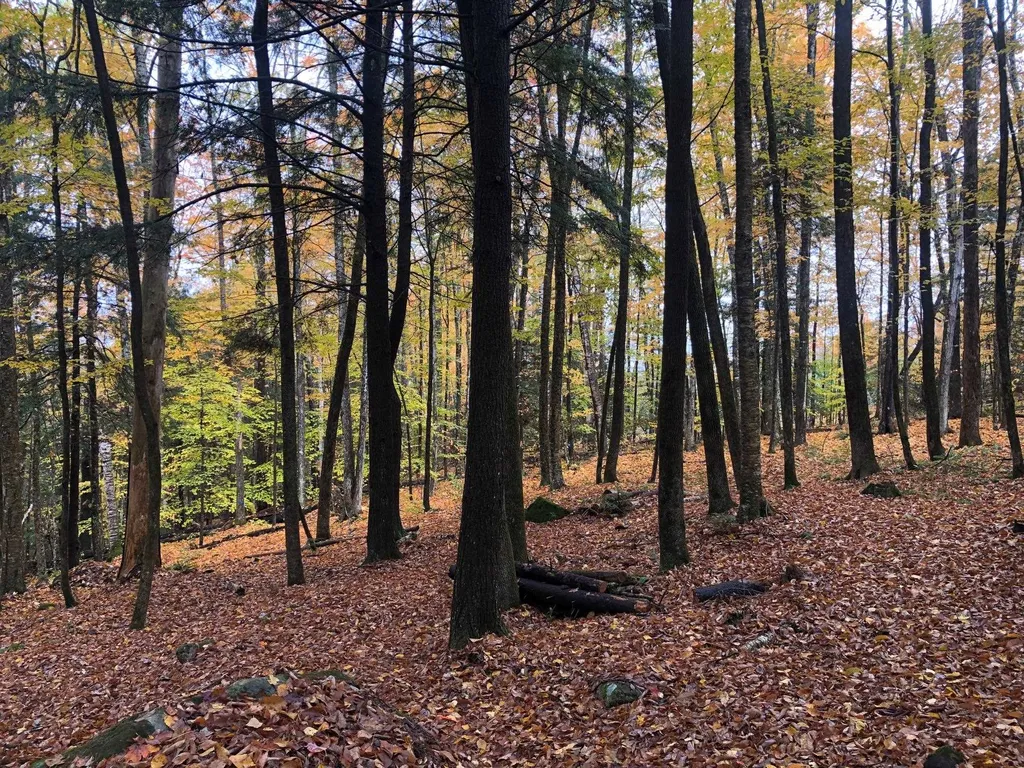 00 Kinsman Drive Haverhill NH 03785