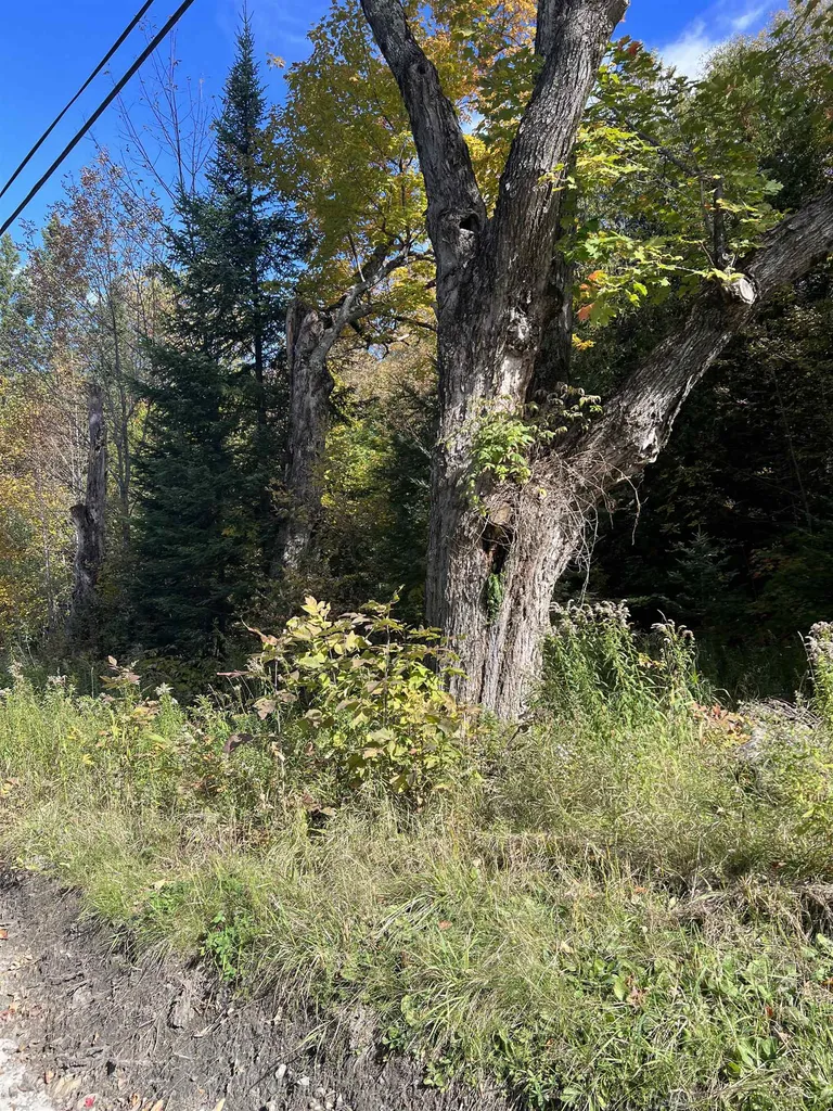 000 Holland Pond Road Holland VT 05830