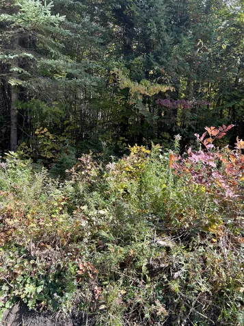 000 Holland Pond Road Holland VT 05830