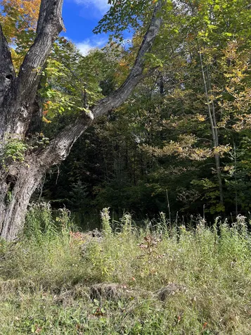 000 Holland Pond Road Holland VT 05830