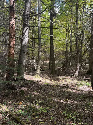 000 Holland Pond Road Holland VT 05830