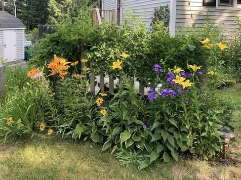 14 Dear Lane Milford NH 03055