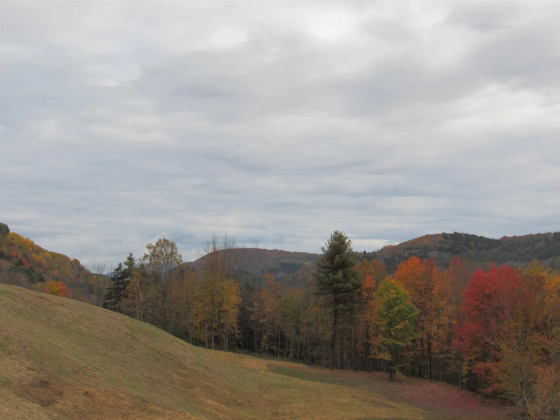 1350 Vt Route 12 Pomfret VT 05053