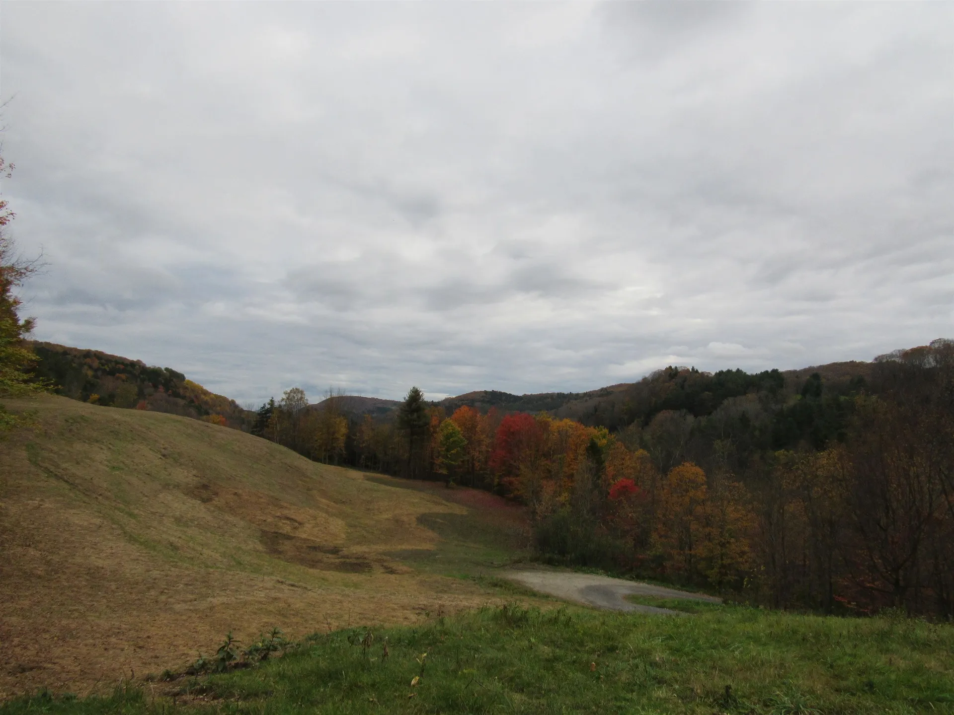 1350 Vt Route 12 Pomfret VT 05053