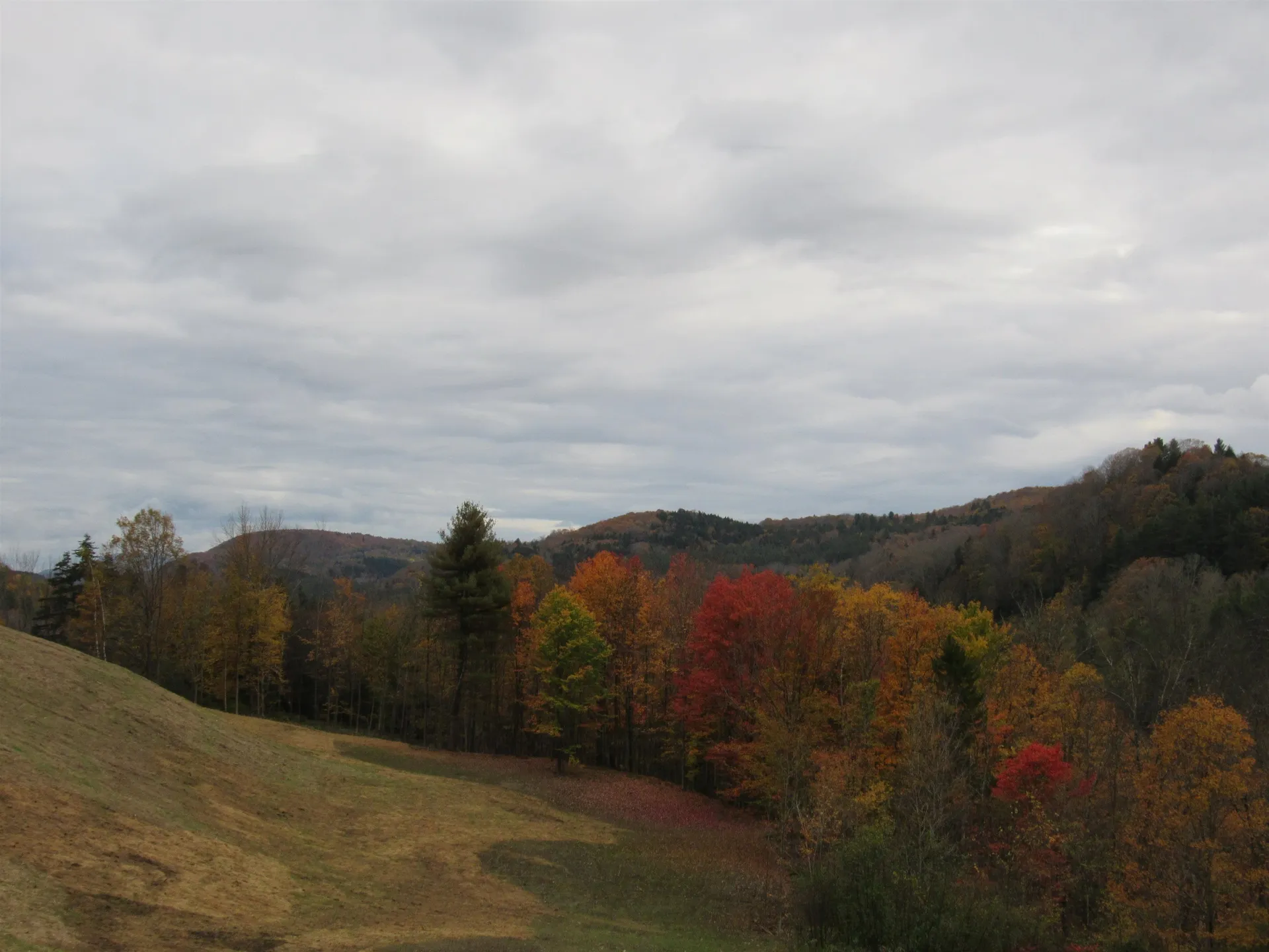 1350 Vt Route 12 Pomfret VT 05053