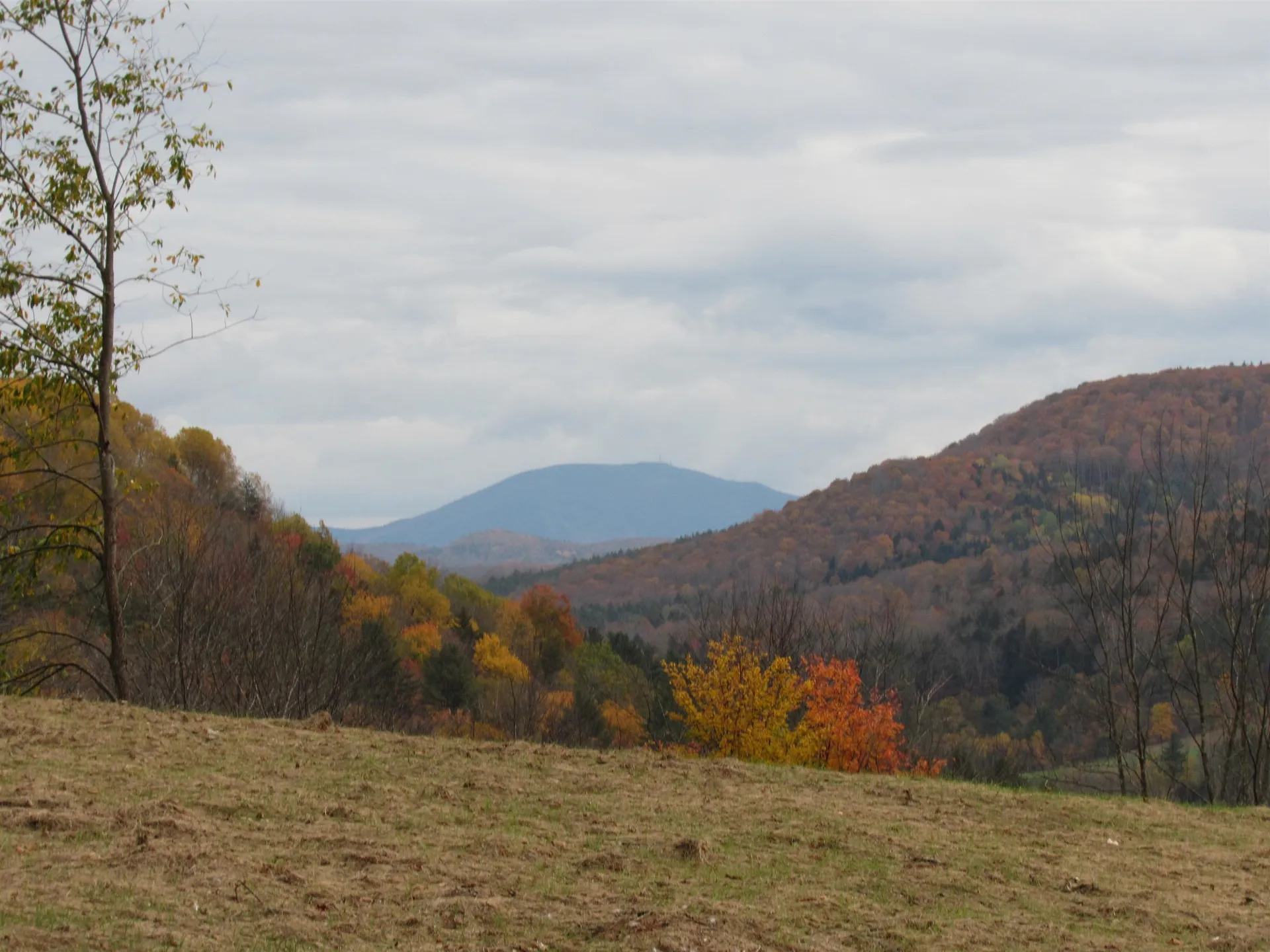 1350 Vt Route 12 Pomfret VT 05053