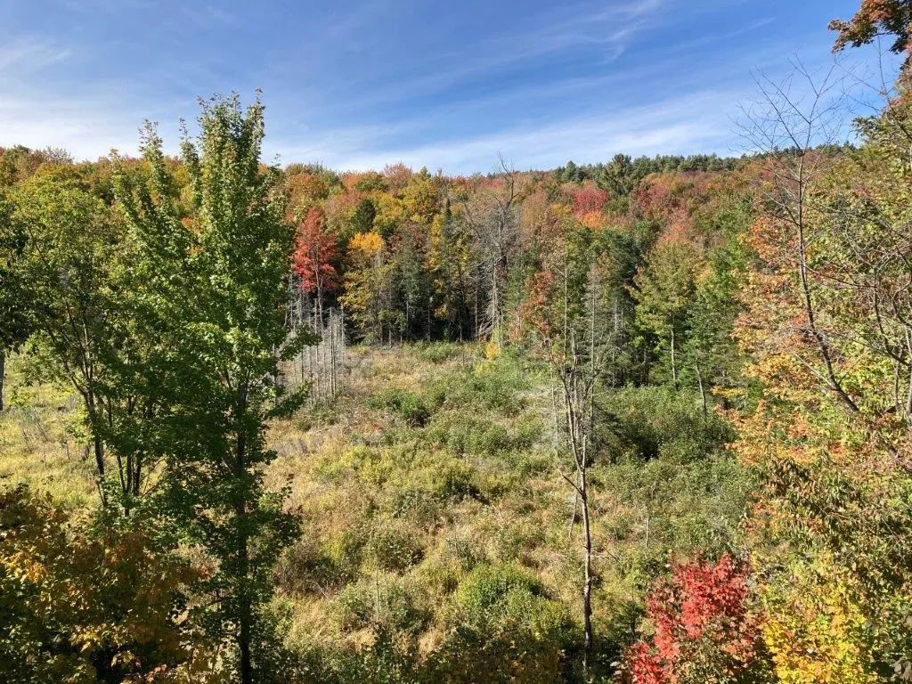 377 Kinsman Road Grafton NH 03240