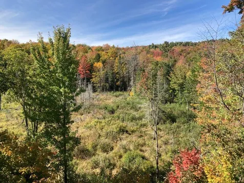 377 Kinsman Road Grafton NH 03240