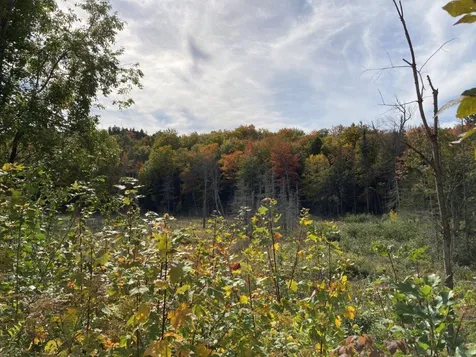 377 Kinsman Road Grafton NH 03240