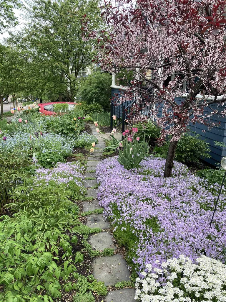 72 Catherine Street Burlington VT 05401