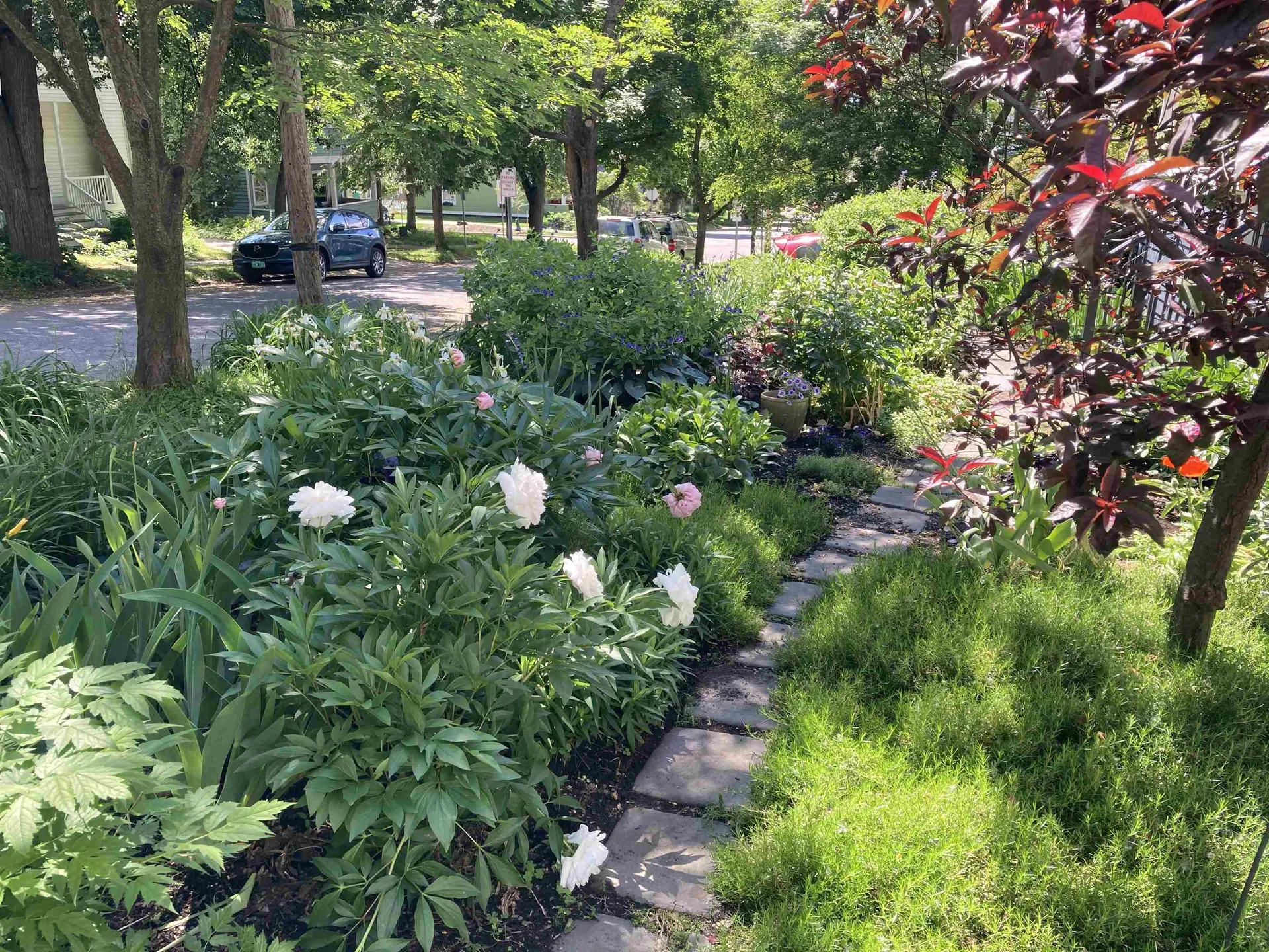 72 Catherine Street Burlington VT 05401