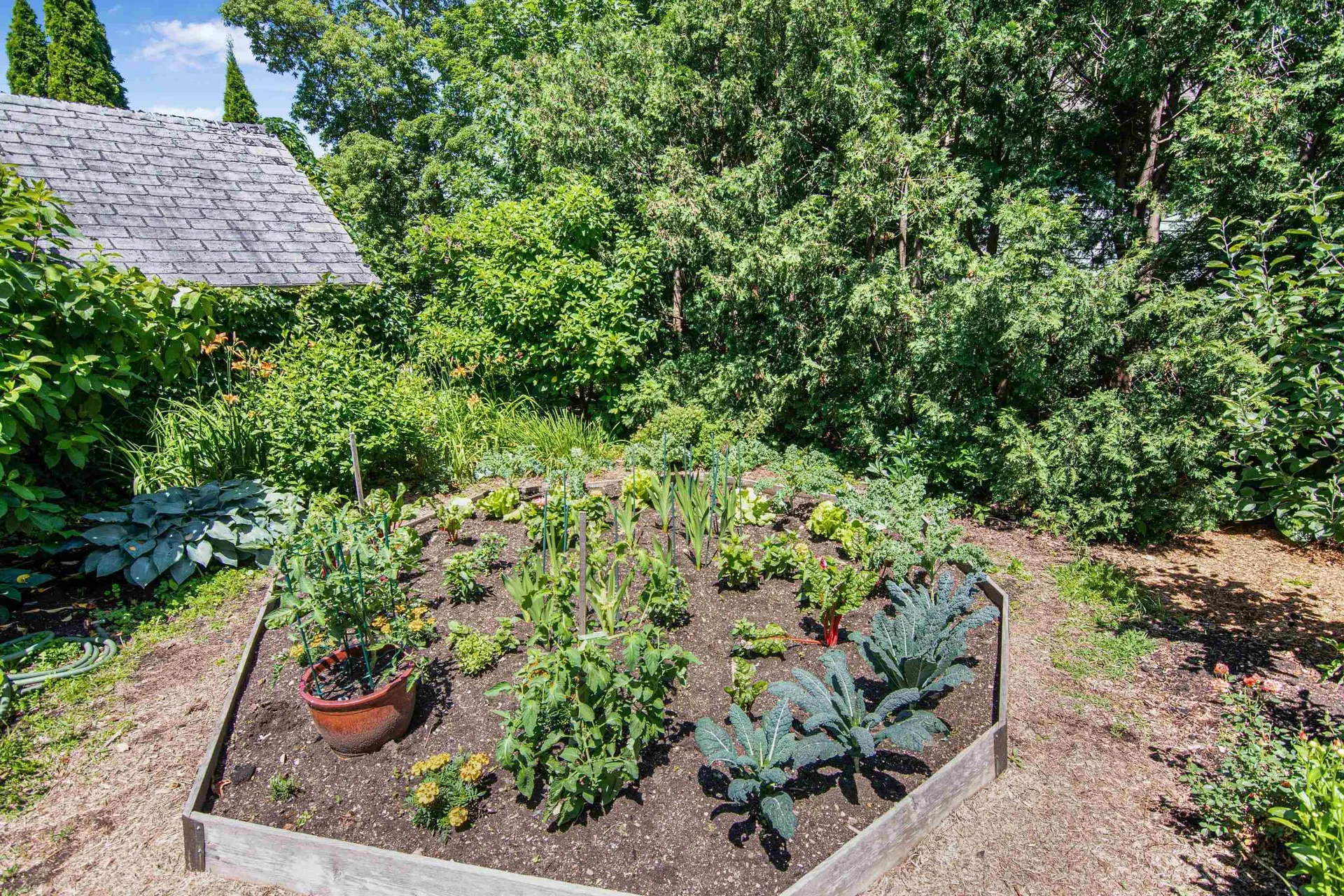 72 Catherine Street Burlington VT 05401