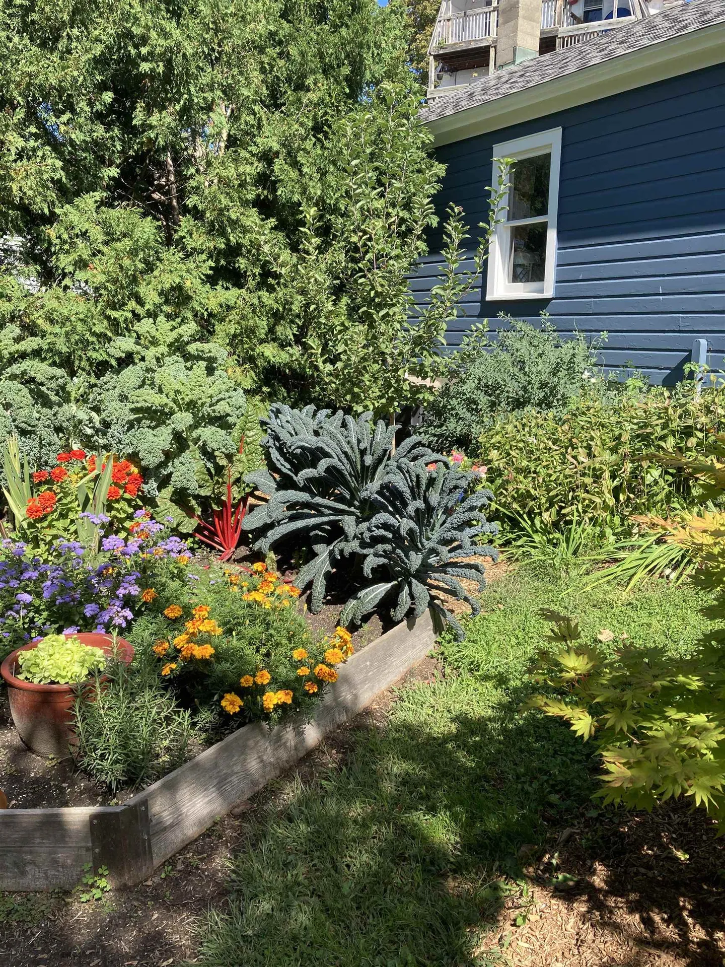 72 Catherine Street Burlington VT 05401