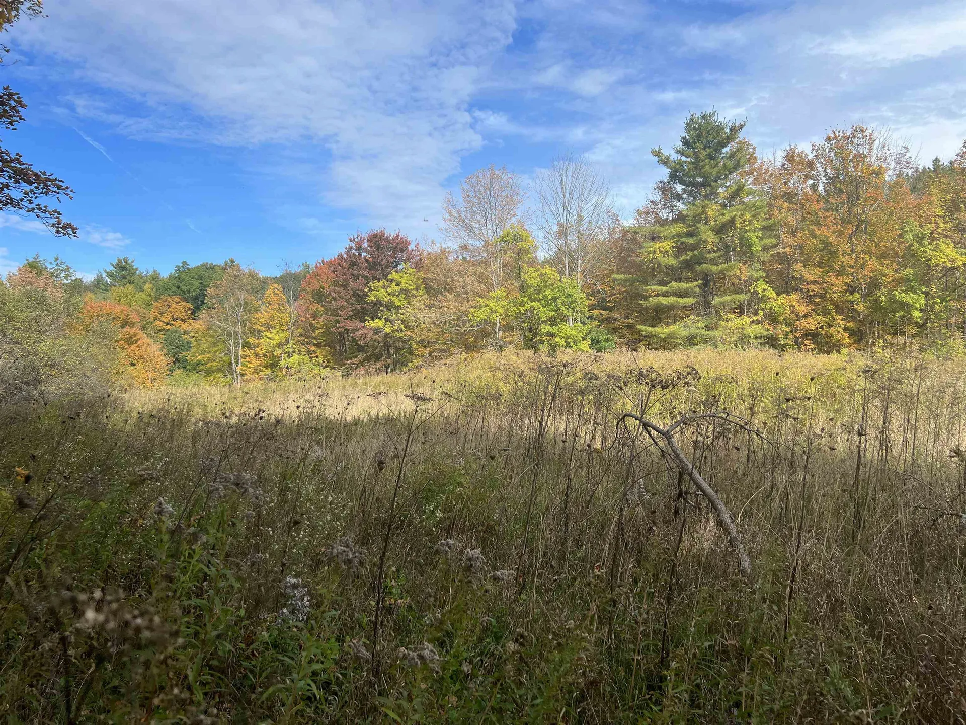 61 Webster Road Hartland VT 05048