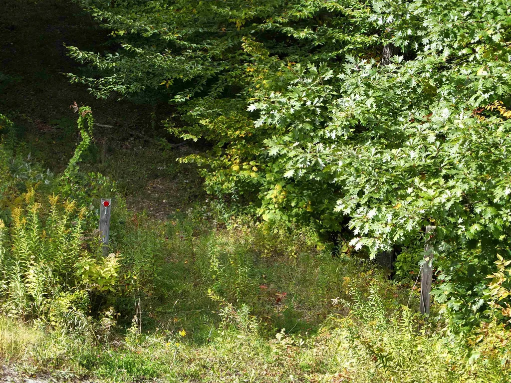 1297 River Road Jamaica VT 05343