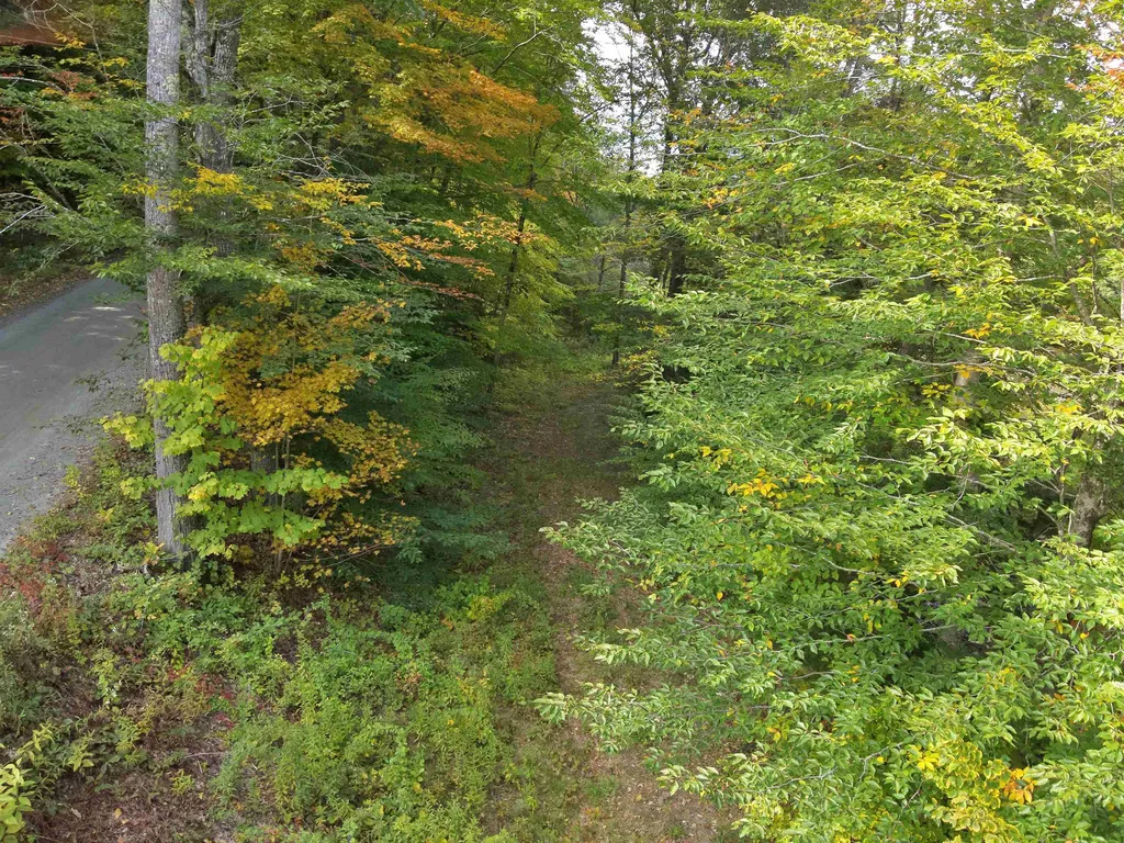 1297 River Road Jamaica VT 05343