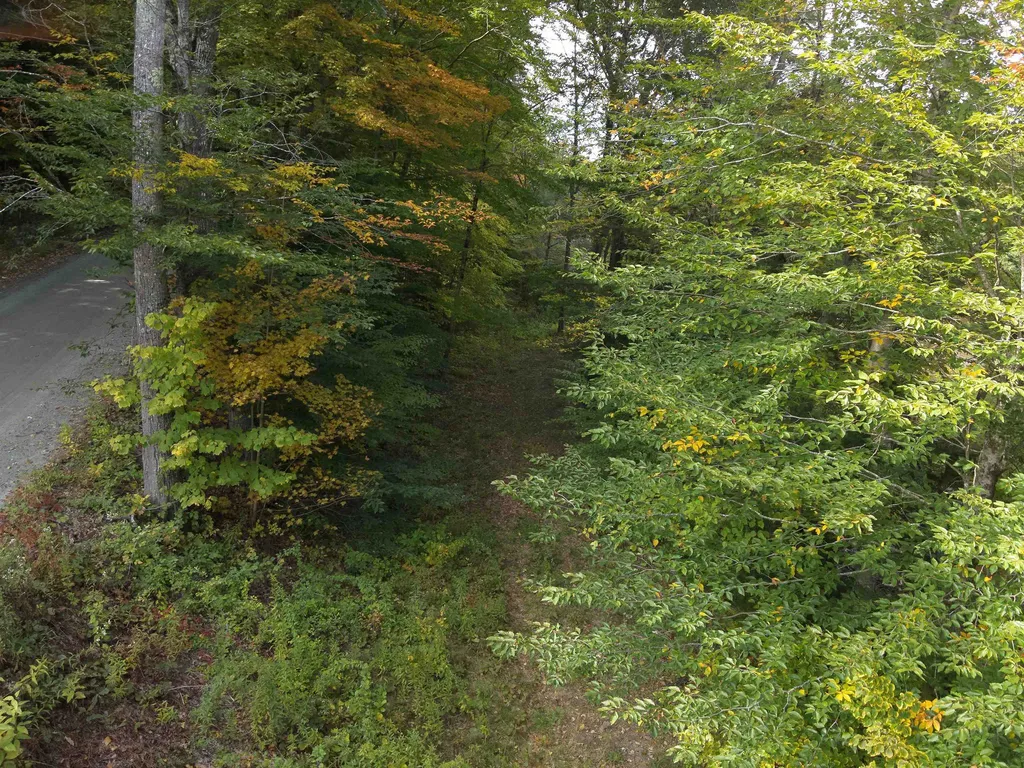 1297 River Road Jamaica VT 05343