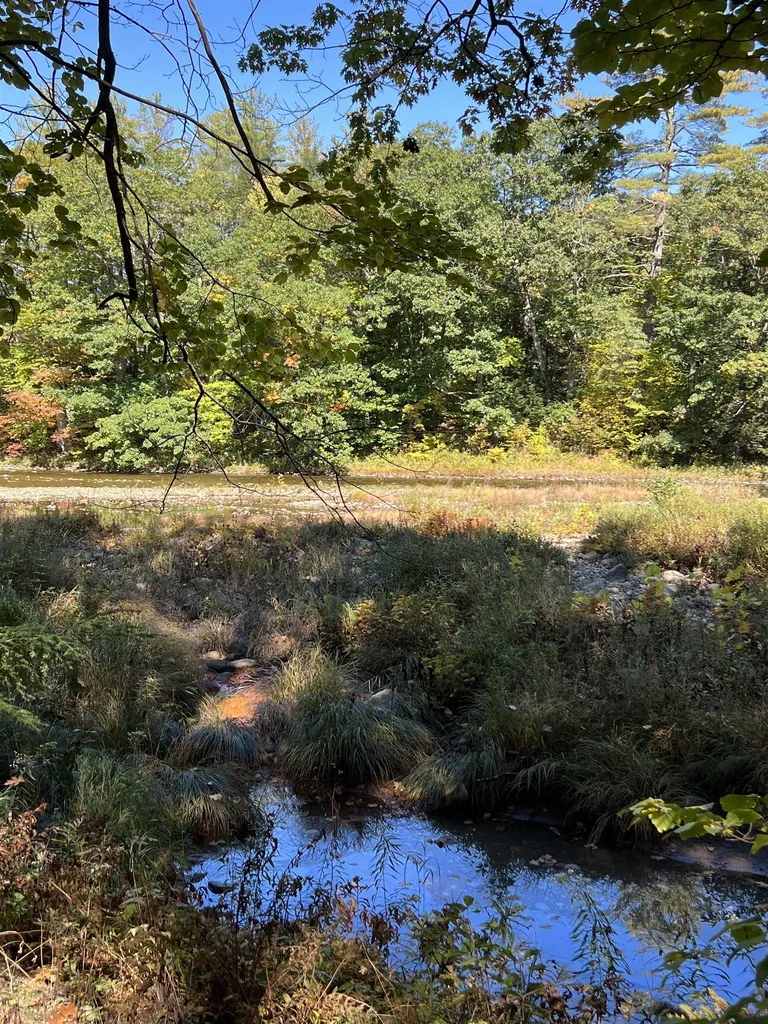 1297 River Road Jamaica VT 05343