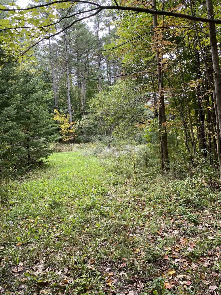 35 Grandview Street Claremont NH 03743