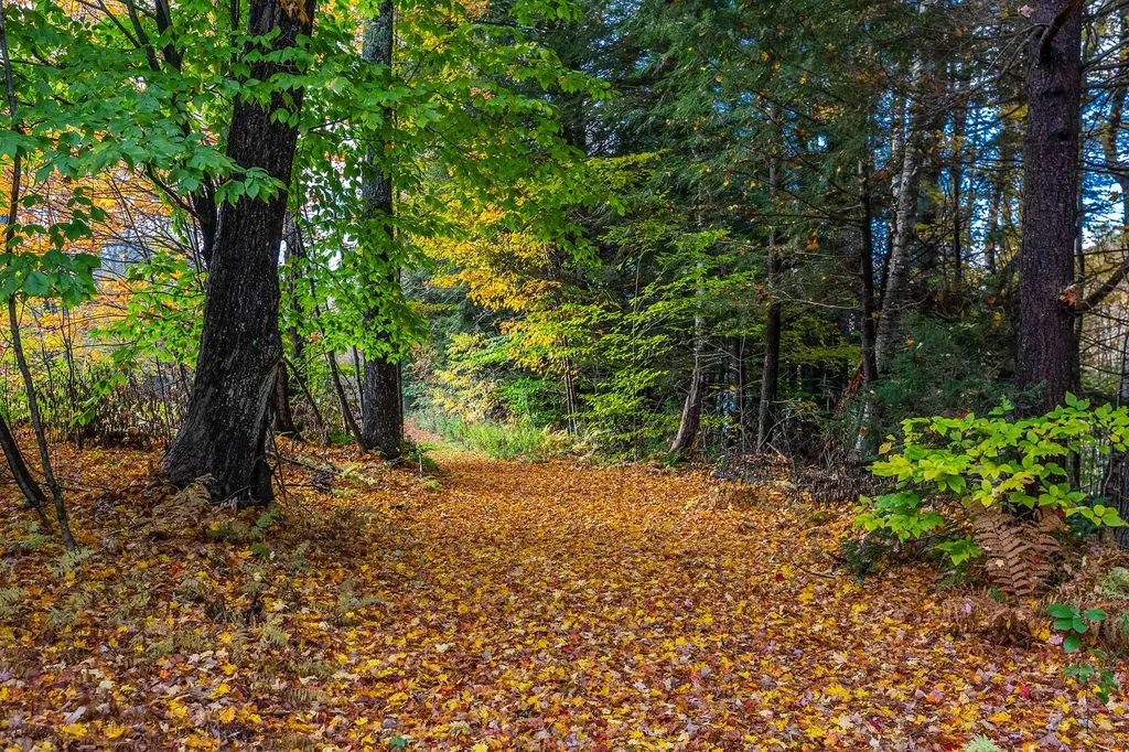 433 Cowdrey Path Woodstock VT 05071