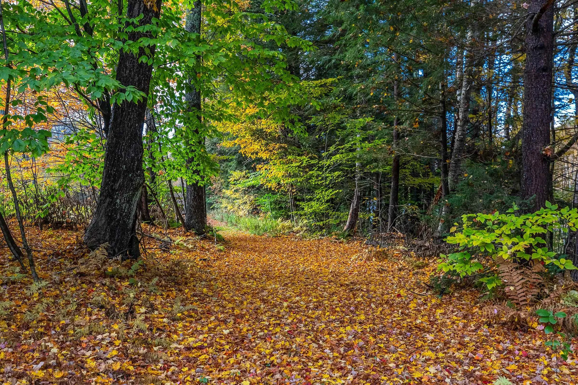 433 Cowdrey Path Woodstock VT 05071