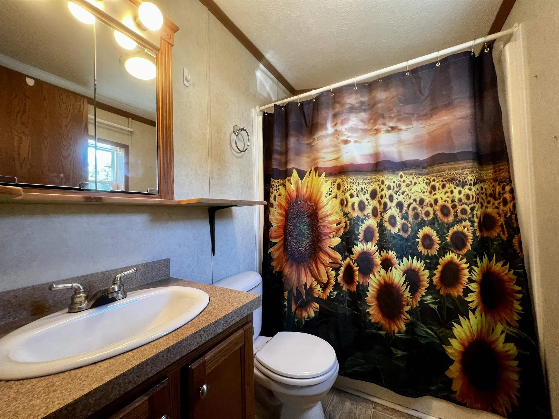 32 Hillview Terrace Hinesburg VT 05461