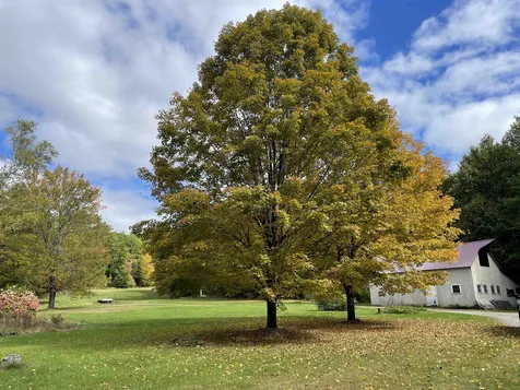 40 Griffin Hill Road Alstead NH 03602